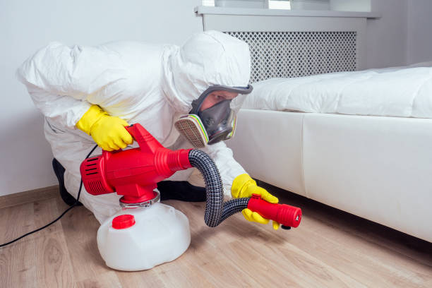 Emergency Pest Control Services in Crowley, TX